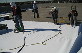  Single-Ply Roofing Services