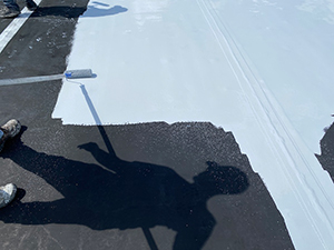 Roof Coating Bloomingdale, TN 1