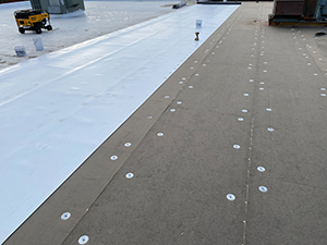Flat Roof Replacement Bloomingdale, TN 2